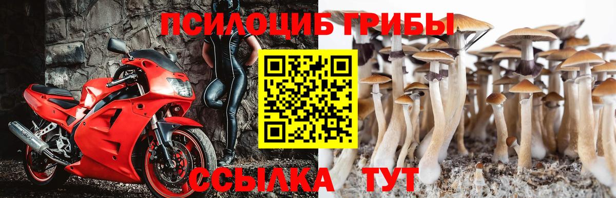 Псилоцибиновые грибы прущие грибы  Галлюциногенные грибы GOLDEN TEACHER  Кстово  Вход с VPN 
