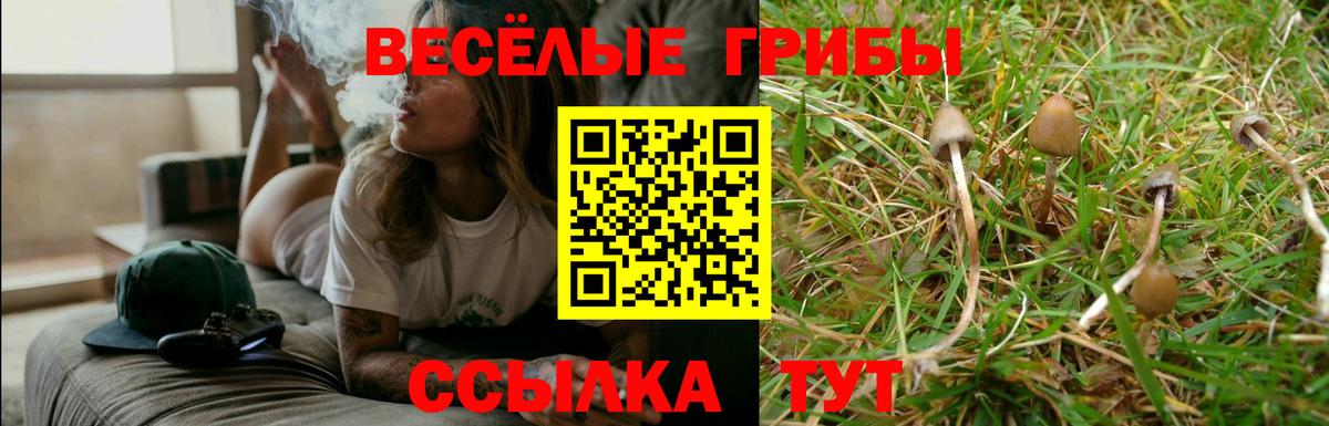 Псилоцибиновые грибы Magic Shrooms Кстово